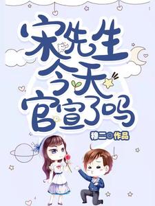 宋先生最新的视频
